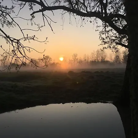 Les Bourrines Du Marais, Le Bourrineau